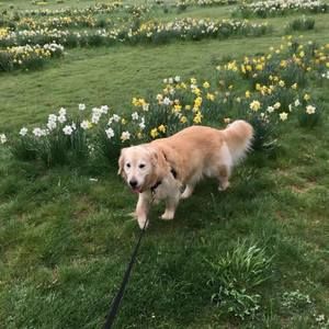 Meet your Posher, Susan